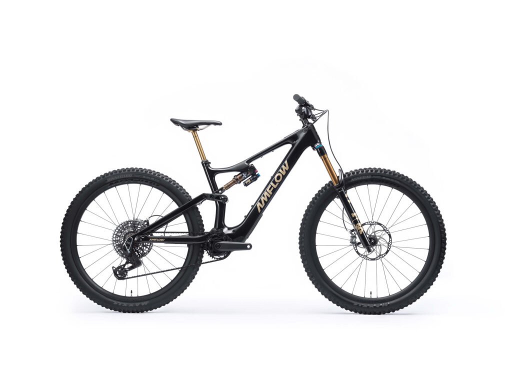 AmFlow PL Pro
